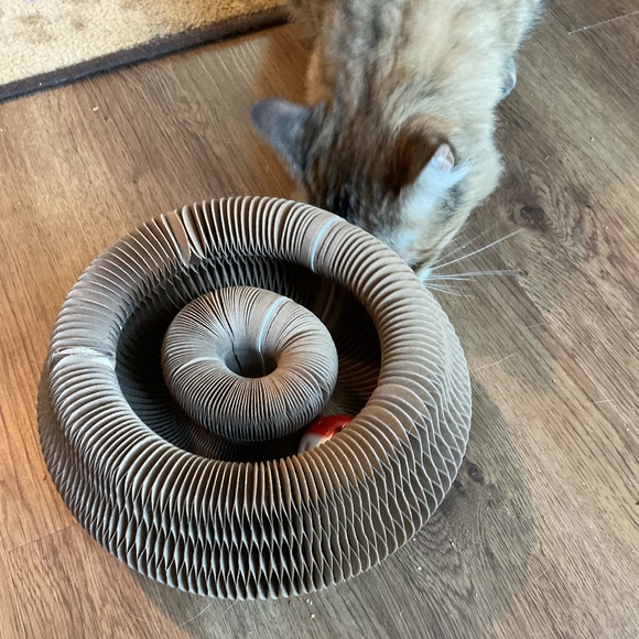 Cat Scratching Board with Bell-Ball - Picture 2 of 5